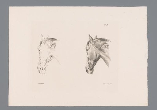 Two studies of a horse's head