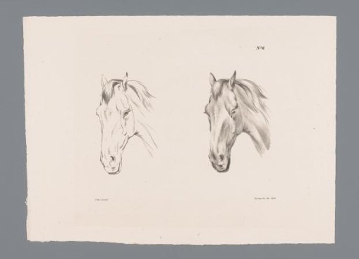 Two studies of a horse's head