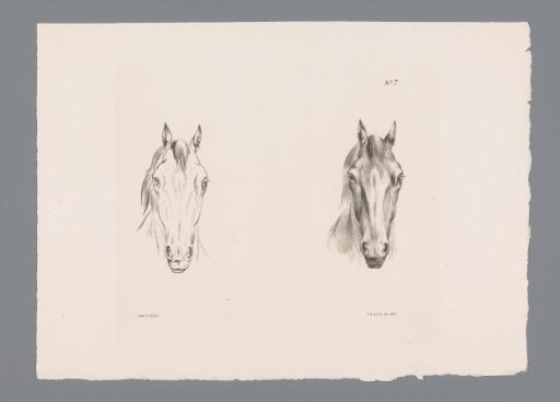 Two studies of horse heads