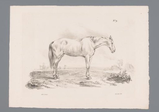 Horse in a meadow