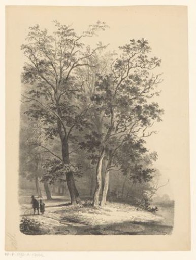 Two figures walking in a wood