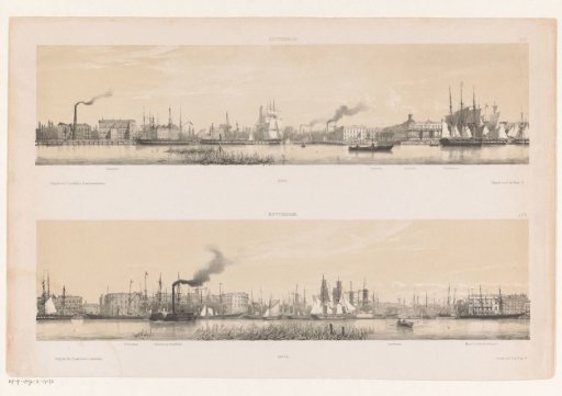 Two profiles of Rotterdam