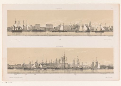 Two profiles of Rotterdam