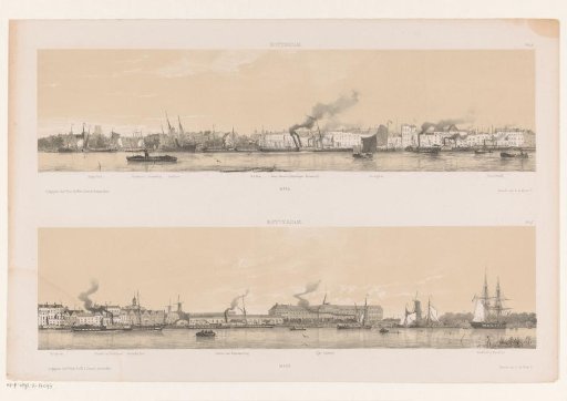 Two profiles of Rotterdam
