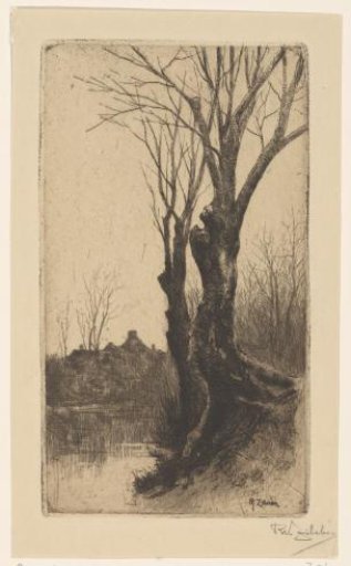 View of the Loolaan, near The Hague