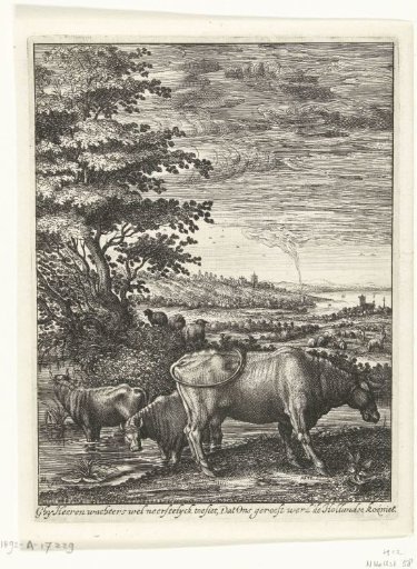 Cows in a landscape
