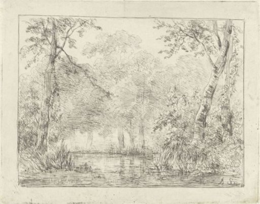 Forest view with pond