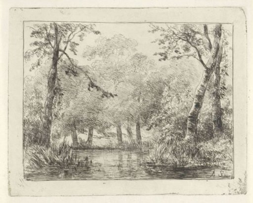 Forest view with pond