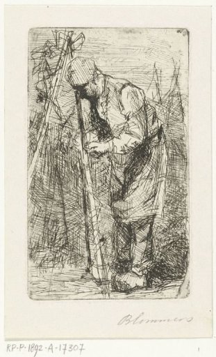 Man tying bean poles in vegetable garden