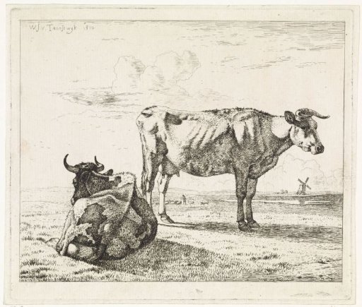 Lying and standing cow in a meadow