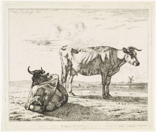 Lying and standing cow in a meadow