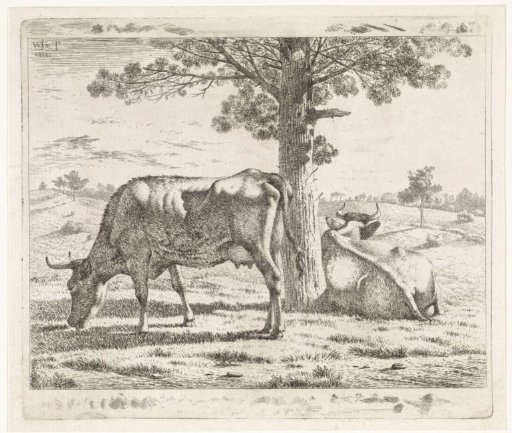 Two cows by a tree