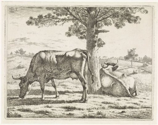Two cows by a tree