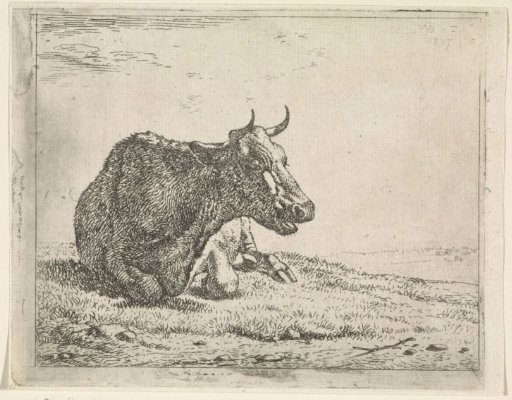 Lying cow