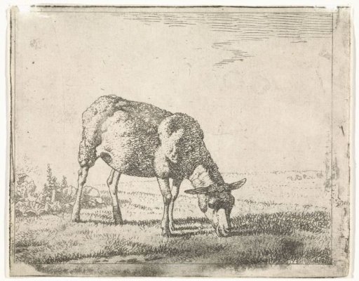 Grazing sheep to the right