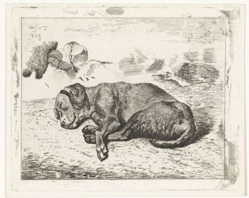 Sleeping dog to the left