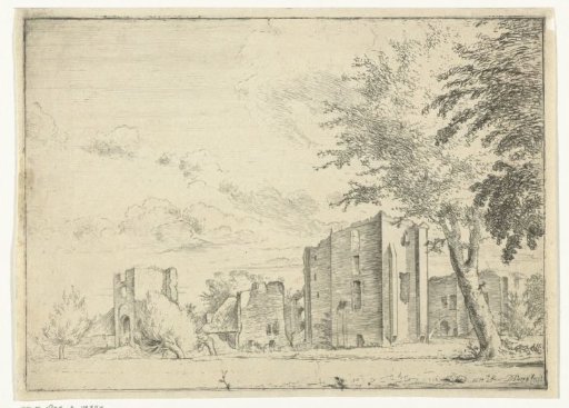 Ruin of Brederode Castle