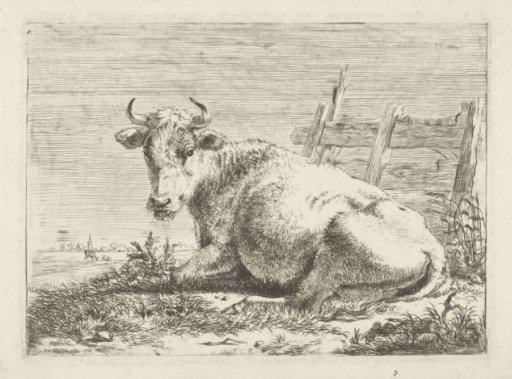 Lying cow by a fence