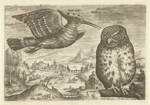 Several birds in a landscape