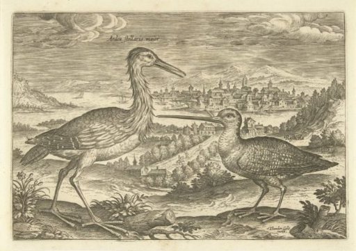 Two birds in a landscape