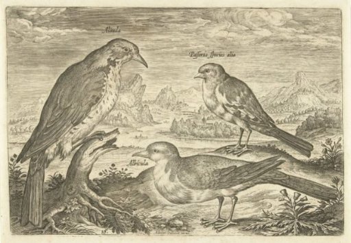 Three birds in a landscape