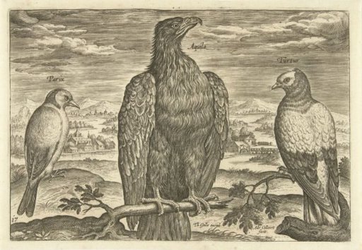 Three birds in a landscape