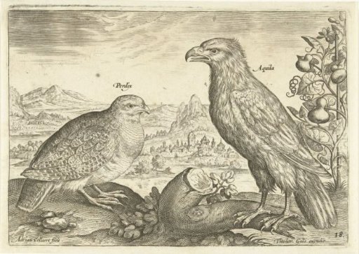 Two birds in a landscape