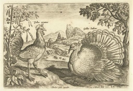 Two chickens in a landscape