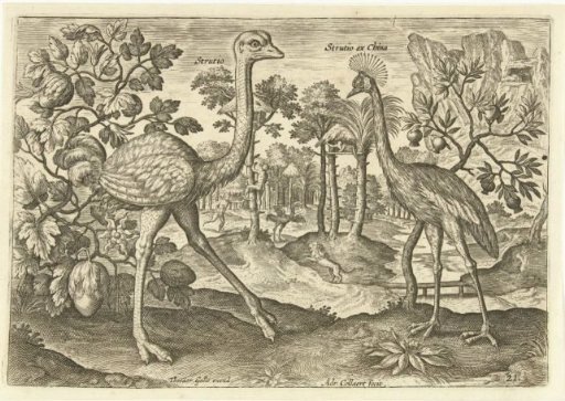 Two wading birds in a landscape