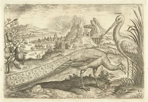 Two birds in a landscape