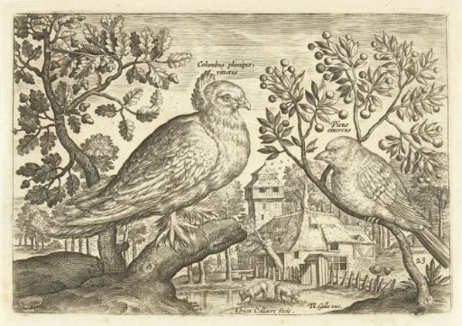 Two birds in a landscape