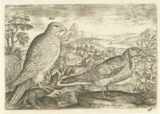 Two birds in a landscape