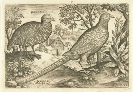 Two chickens in a landscape