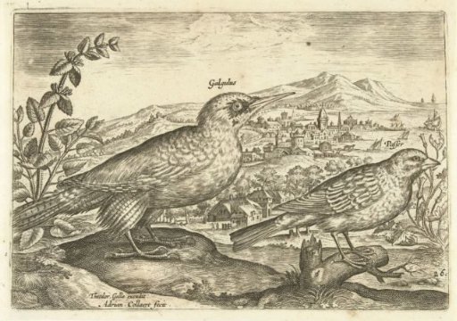 Two birds in a landscape
