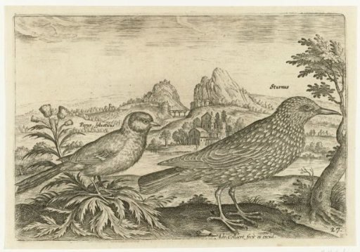 Two birds in a landscape