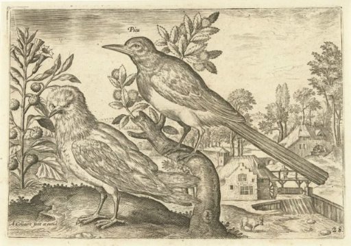 Two birds in a landscape