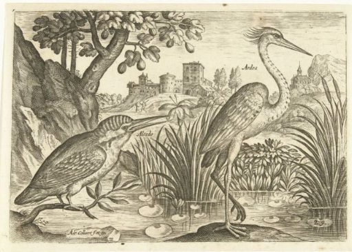 Two birds in a landscape