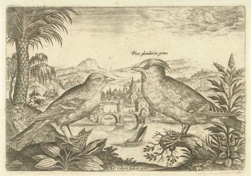 Two birds in a landscape