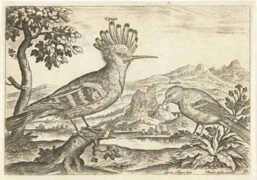 Two birds in a landscape