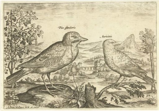 Two birds in a landscape