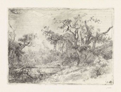 Landscape with a half-dead tree