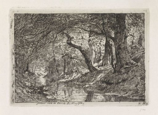 Forest landscape with stream and trees on the bank