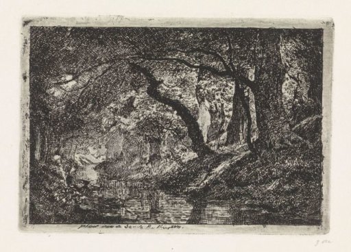 Forest landscape with stream and trees on the bank
