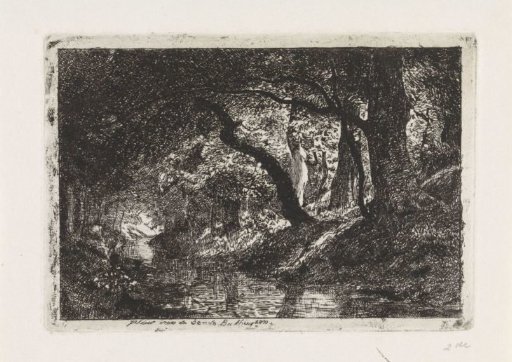 Forest landscape with stream and trees on the bank