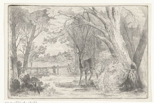 Park landscape with a stag