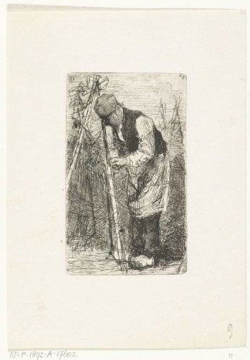 Man tying bean poles in vegetable garden