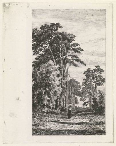 Pine Avenue