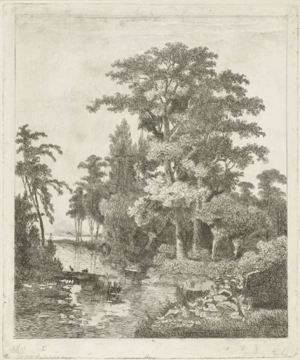 Forest view with two duck nests in a river