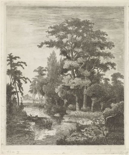 Forest view with two duck nests in a river