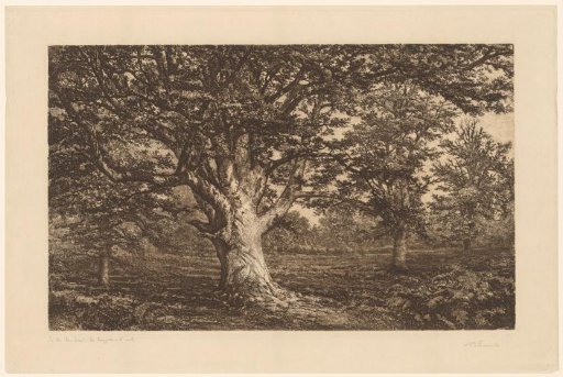 Landscape with the Knightwood Oak in New Forest